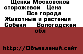 Щенки Московской сторожевой › Цена ­ 35 000 - Все города Животные и растения » Собаки   . Вологодская обл.